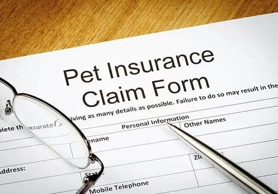 cat insurance for xray