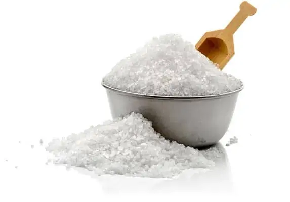 Is salt safe for cats