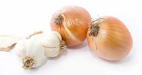 Garlic and onion