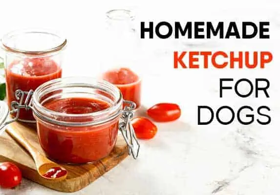 Homemade ketchup for dogs