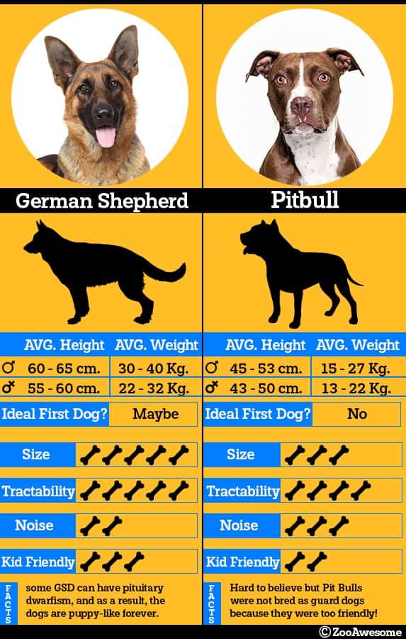 who has a stronger bite pitbull or german shepherd