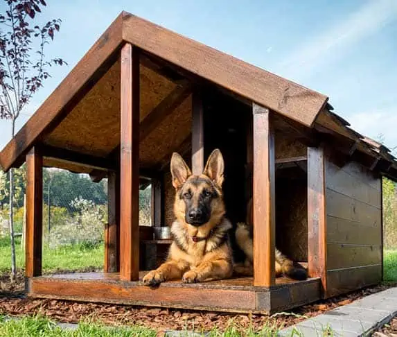 german shepherd inside a dog house