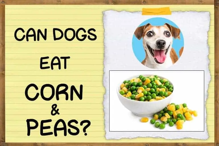 Can Dogs Eat Corn and Peas