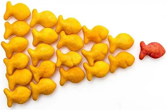 goldfish crackers for dogs