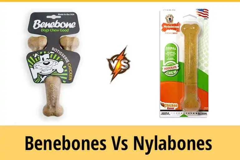 Benebone Vs Nylabone