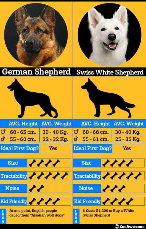 gsd swiss white chart
