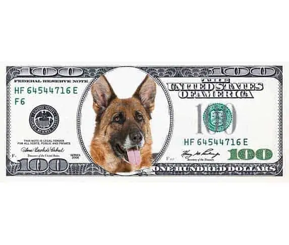 paper bill with gsd