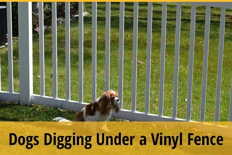 How to Keep a Dog from Digging Under a Vinyl Fence