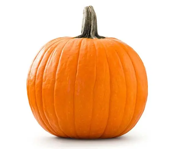 Pumpkin