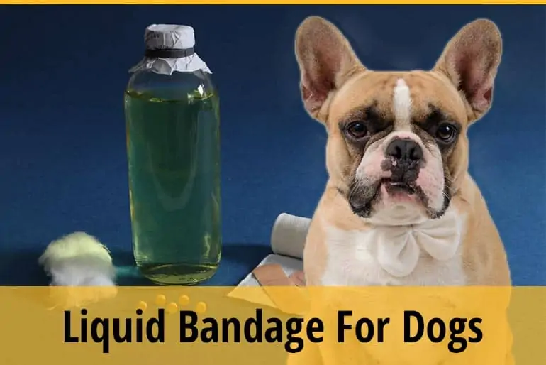Can You Use Liquid Bandage on A Dog