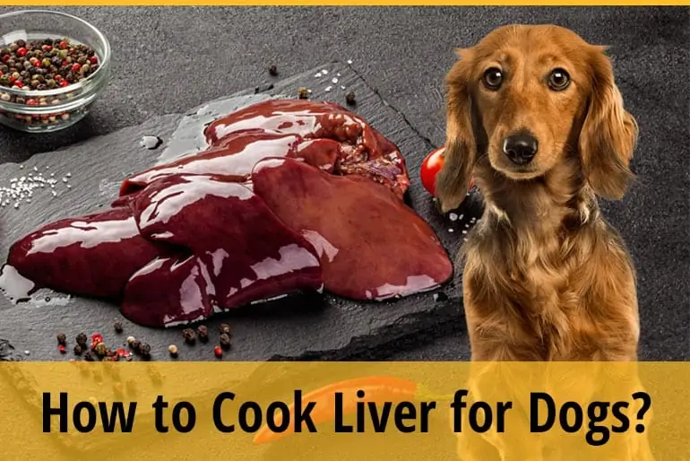 How To Cook Liver For Dogs? (For Dog Treats & Dog Baits) | ZooAwesome