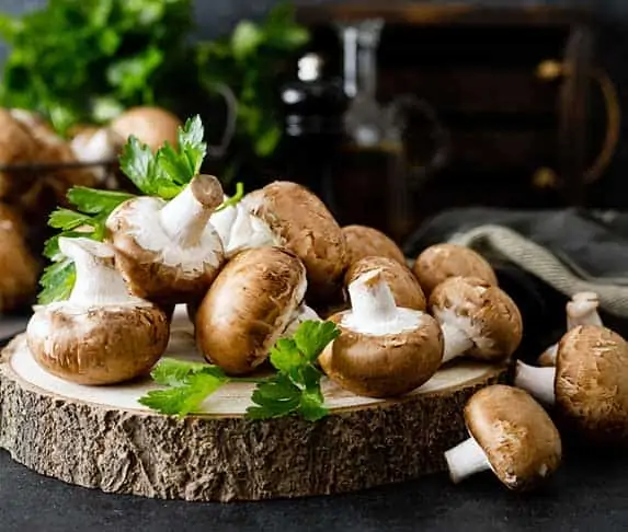 edible mushroom for dogs