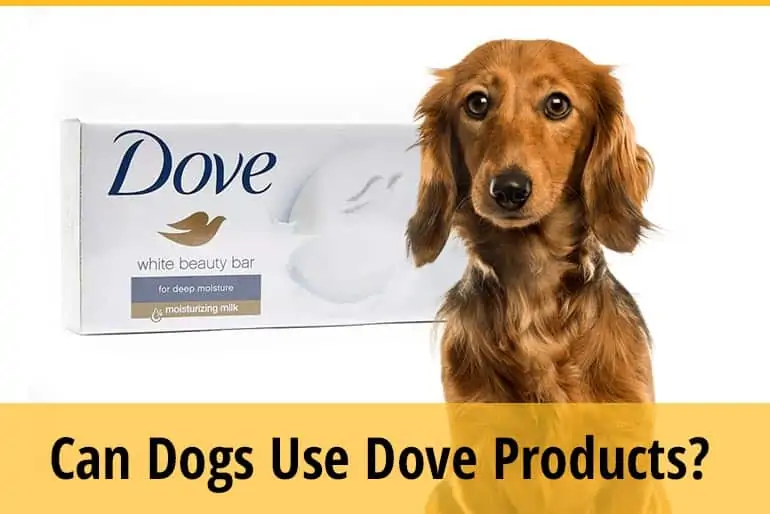Can Dogs Use Dove