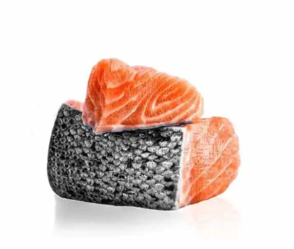 Salmon Skin with Scales for dogs