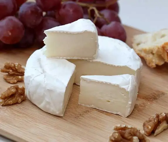 Brie Cheese for dogs