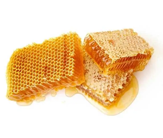 Honeycomb Wax for dogs