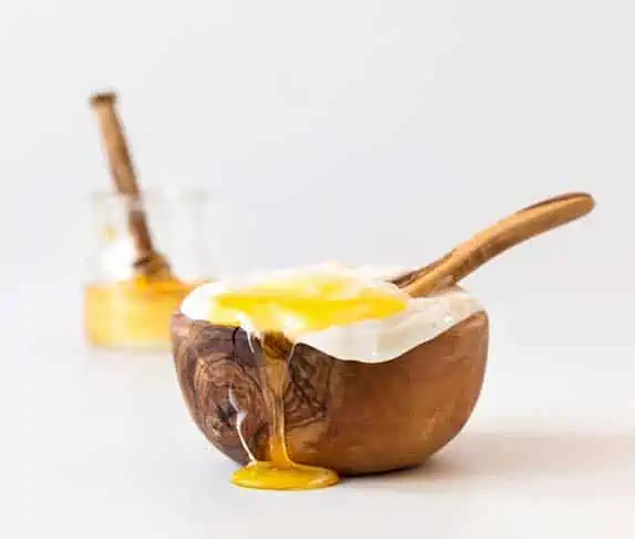 Greek Yogurt with Honey for dogs