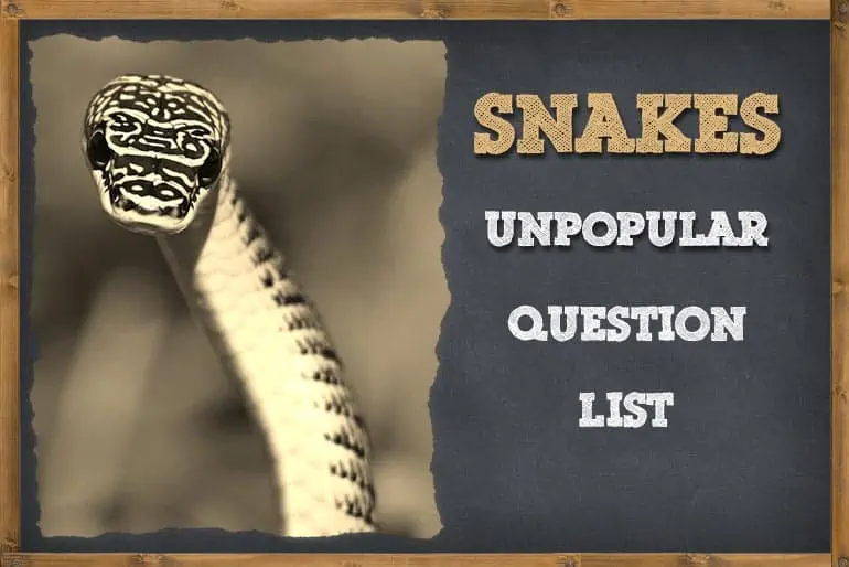 List of Unpopular Snake Questions Answered