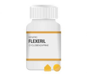 Can Dogs Take Flexeril? | ZooAwesome