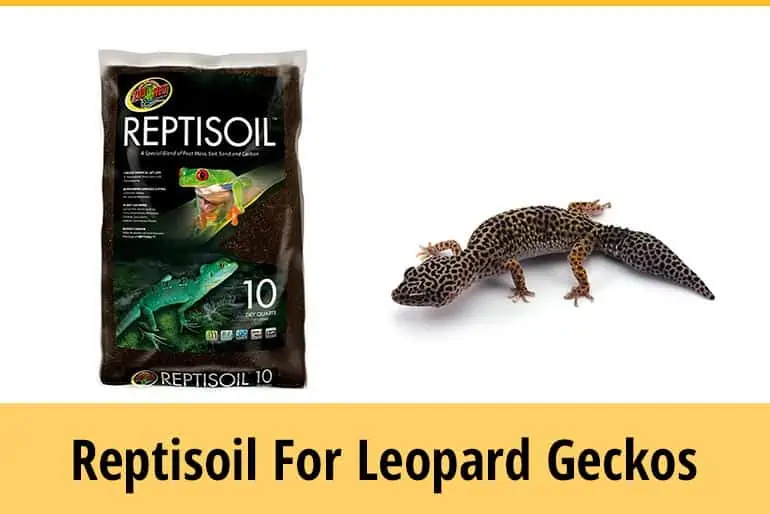 Is Reptisoil Safe For Leopard Geckos?